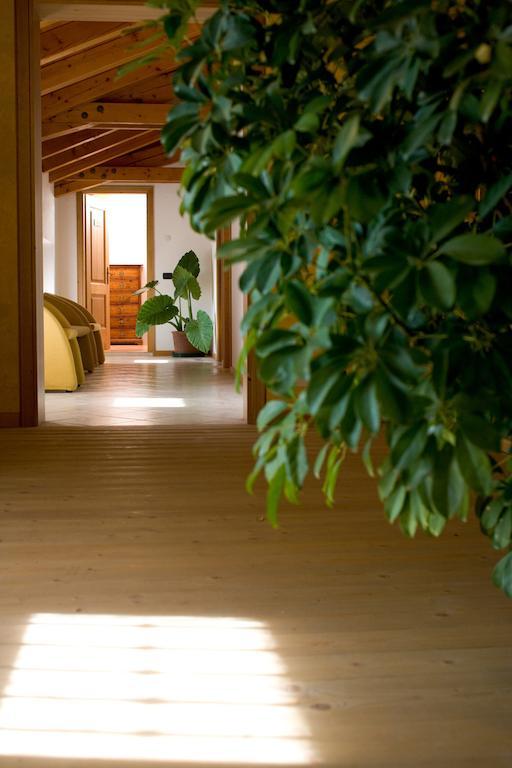 Agriturismo Al Casale คอ-ดรอยโป ภายนอก รูปภาพ