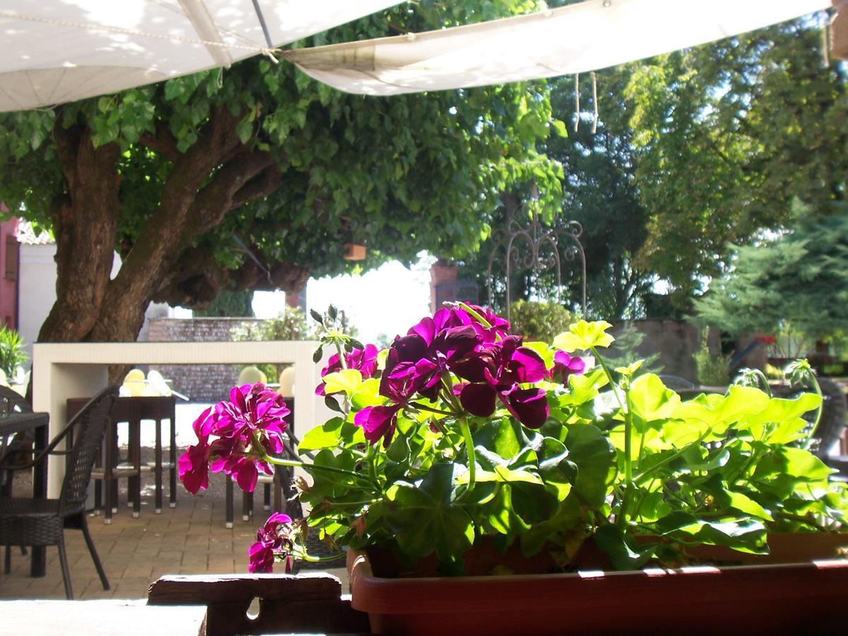 Agriturismo Al Casale คอ-ดรอยโป ภายนอก รูปภาพ
