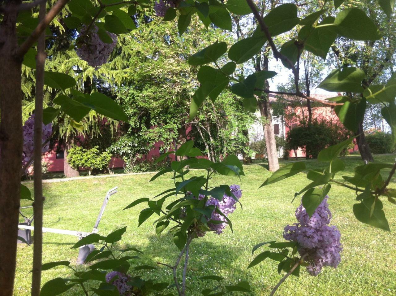 Agriturismo Al Casale คอ-ดรอยโป ภายนอก รูปภาพ